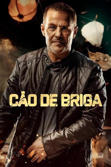 Cão de Briga